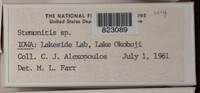 Image Associated With the Occurence